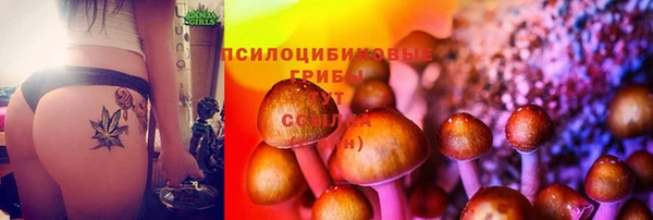 синтетический гашиш Алексин