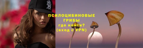 шишки Абдулино