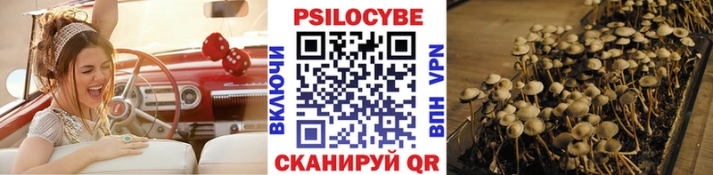 Псилоцибиновые грибы прущие грибы  omg маркетплейс  Томари 